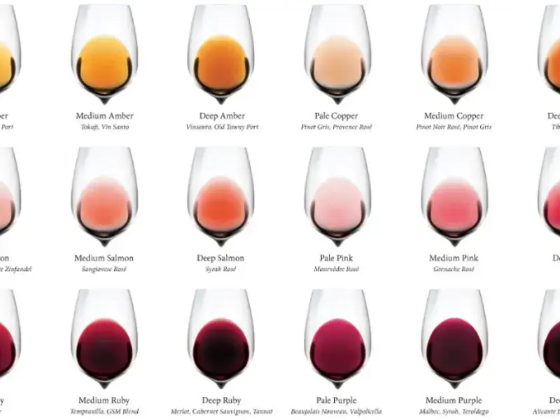 Sound Like a Pro with This Wine Colour Chart