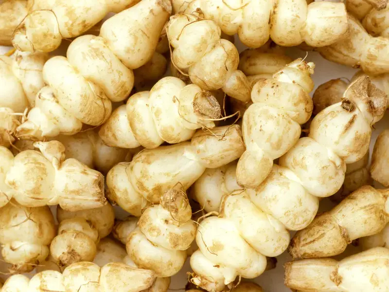 Chinese Artichoke: How to Cook this Delicate Tuber