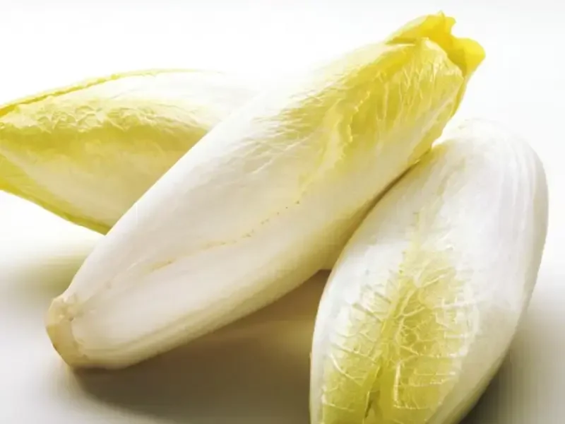 5 Great Ways To Use Belgian Endive