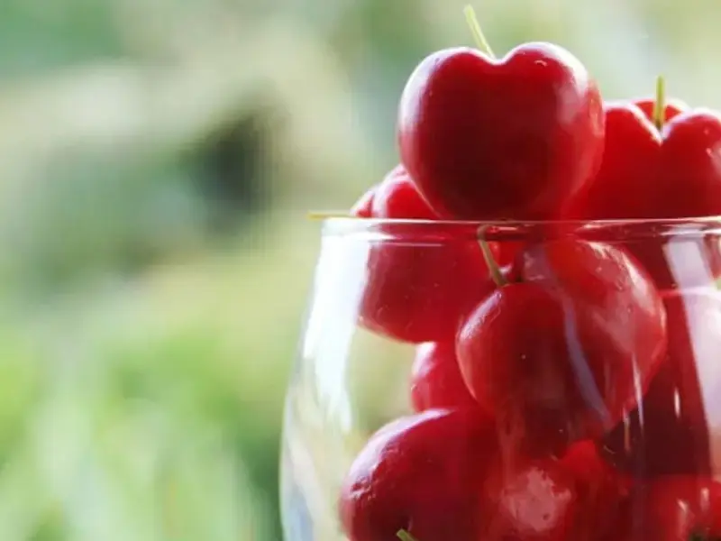 Barbados Cherries (Acerola): All You Need To Know About This Superfood