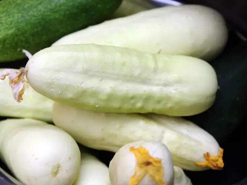 White Cucumbers: How to Eat these White Wonders