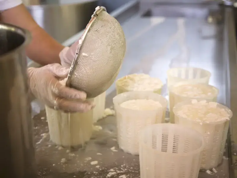 Cheese Making Courses