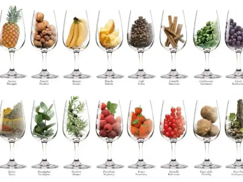 100 Most Common Wine Aromas