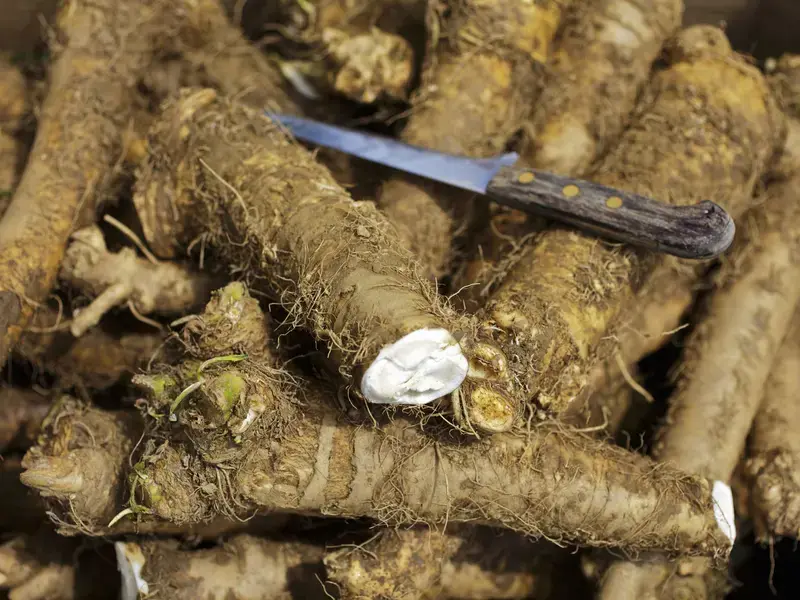 Horseradish: How to Tame this Spicy Root Vegetable