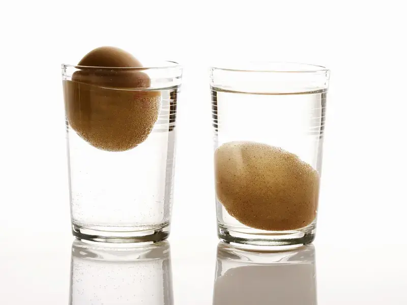 How to Tell if Eggs are Still Good