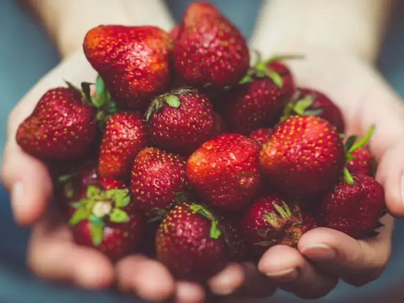 31 Red Fruits and Vegetables You Should be Eating