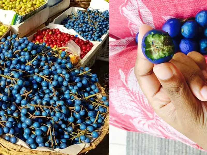Blue Olives, Sri Lanka's Street Food Olive