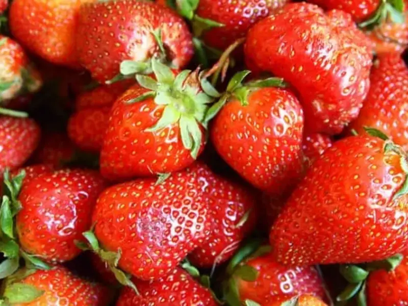 Food Preservation Methods: How to Preserve Strawberries