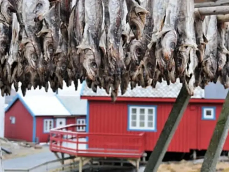 Cod, Salt Cod or Stockfish: What's the Difference?