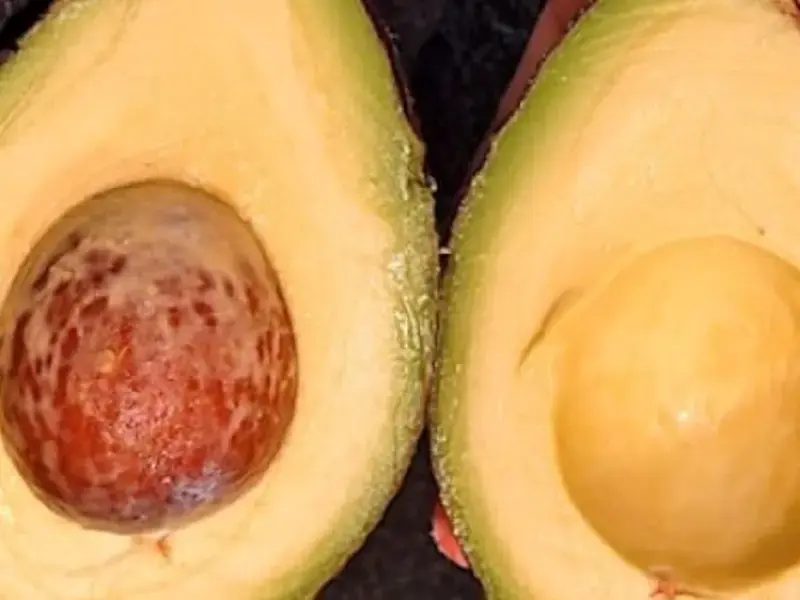 How To Pick A Perfectly Ripe Avocado