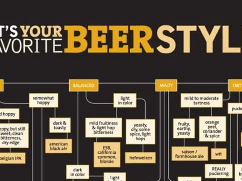 Find Your Beer Style with this Fun Flow Chart