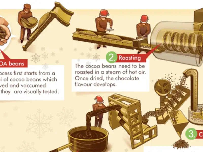 The 13 Steps of Chocolate Production