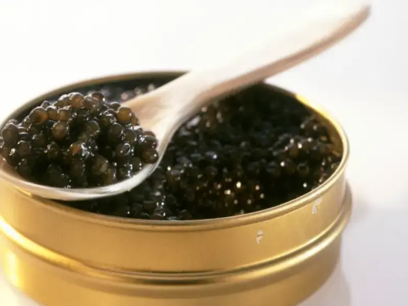 10 facts about caviar: history, consumption and curiosity