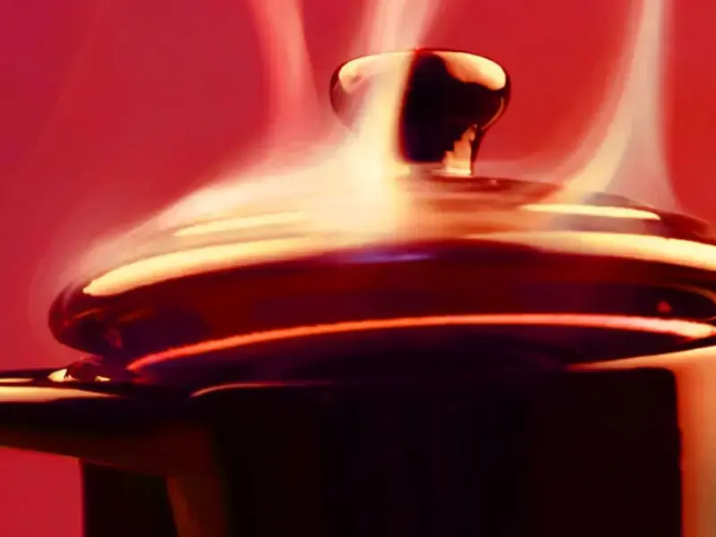 Original_8777_braising-finedininglovers-TP