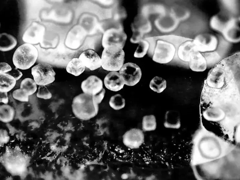 Original_9075_salting-finedininglovers-TP