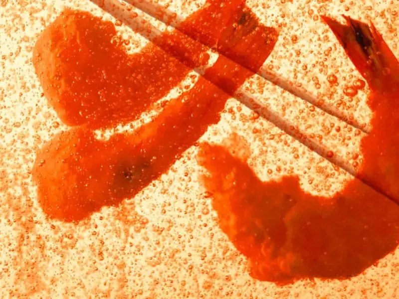 Original_9269_tempura-science-finedininglovers-TP
