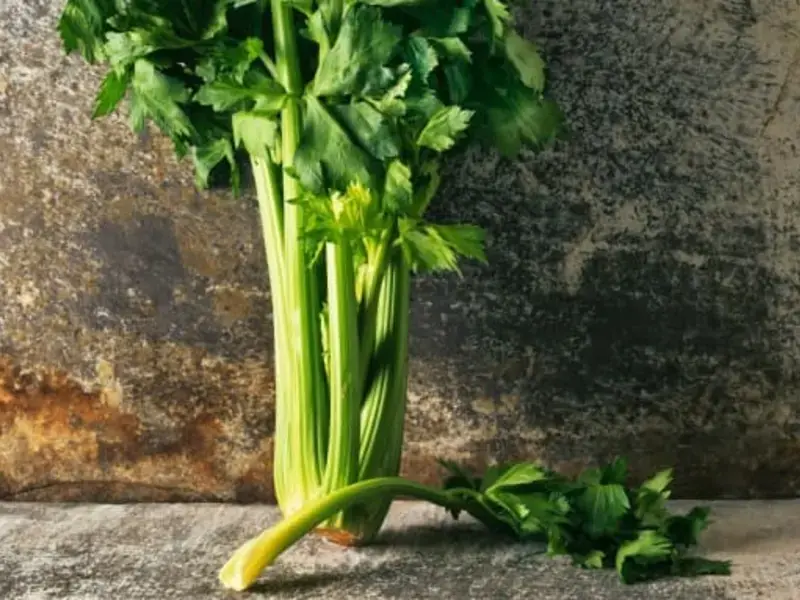 16 Fruits And Vegetables You Can Regrow At Home