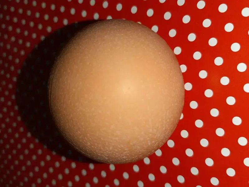 The perfectly round egg