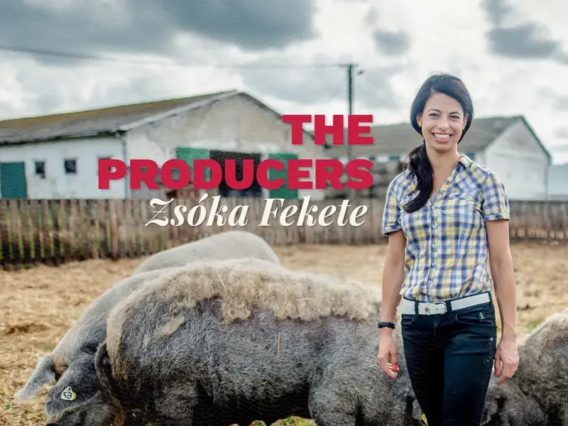 A woman standing next to pigs.