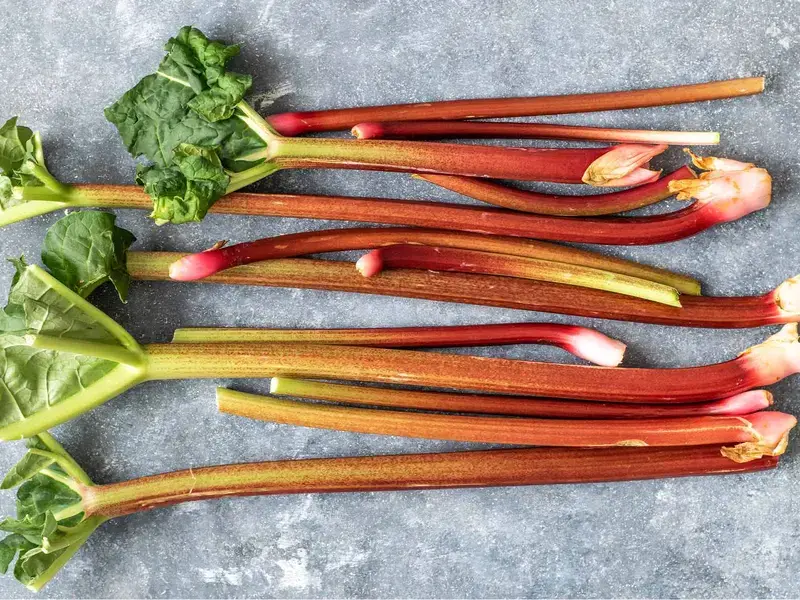 Best rhubarb recipes