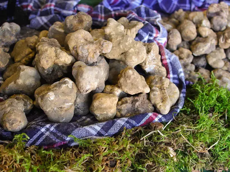 White Truffles