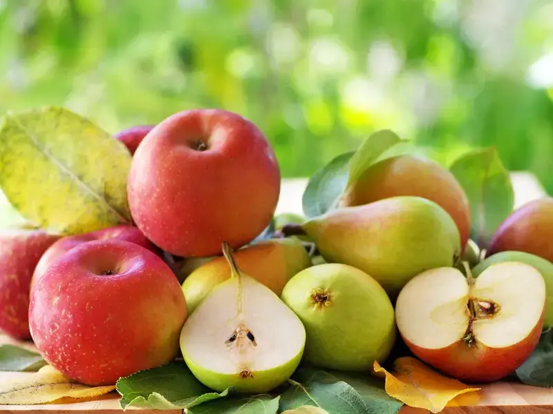 apples and pears ©iStock