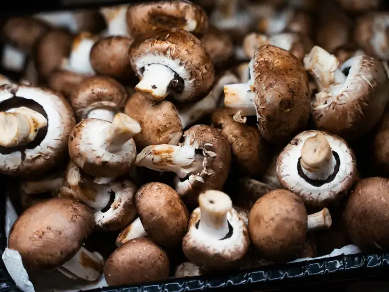 baby-bella-mushrooms