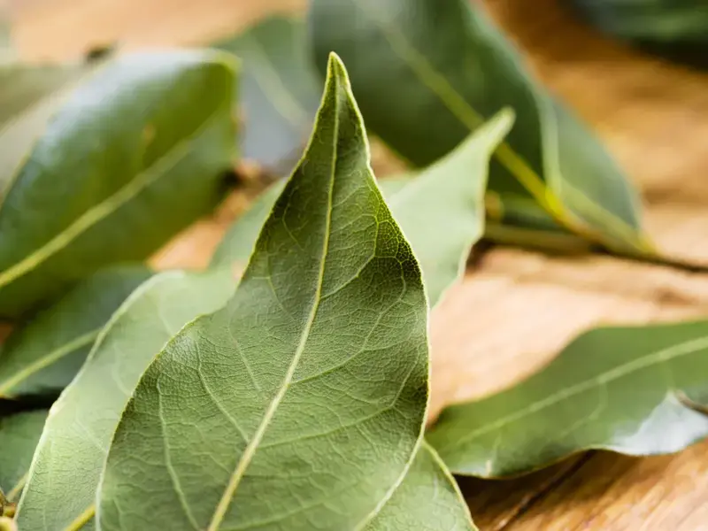 bay-leaves