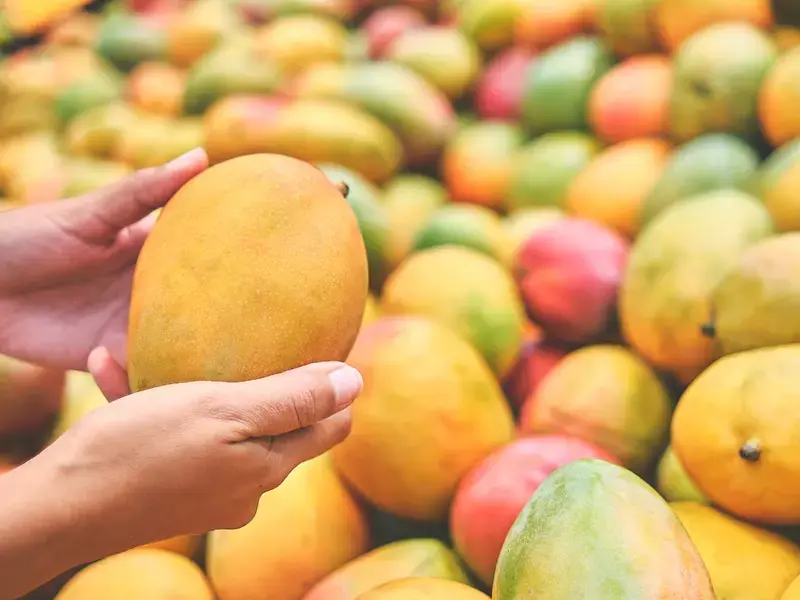 best-mango-varieties