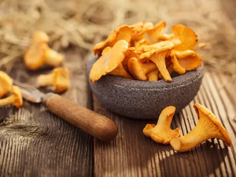 chanterelle-mushrooms
