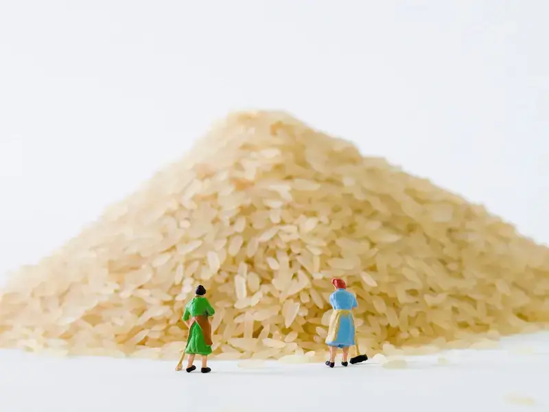 Different types of rice