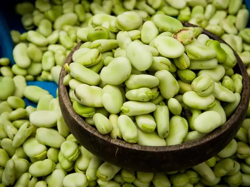 fava-beans
