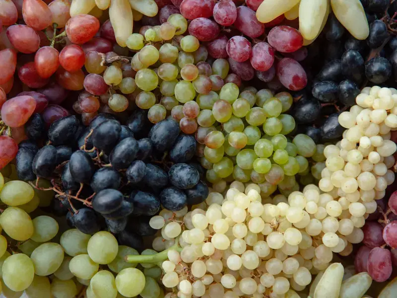 grapes-varieties
