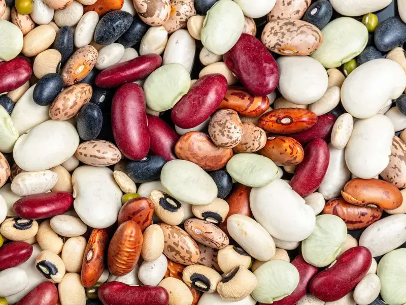heirloom-beans