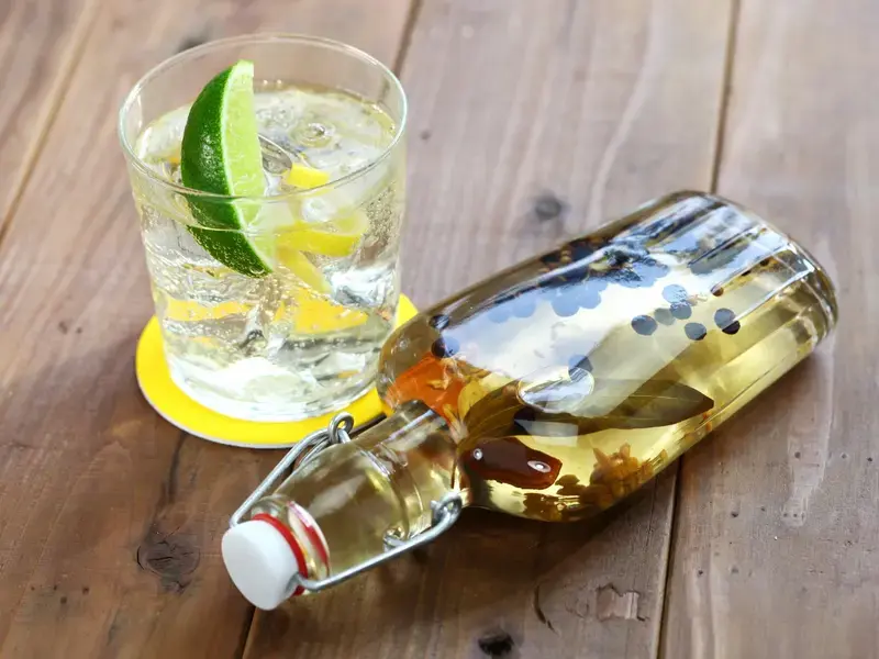 homemade-gin