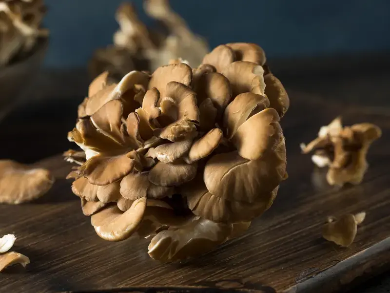 maitake-mushrooms