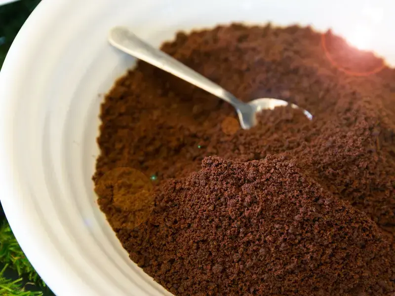 malt-powder