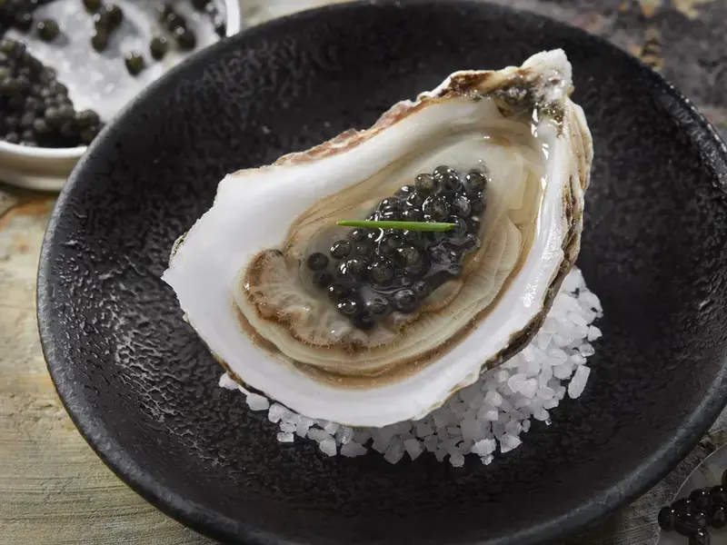 Oyster, a humble food that became luxury.