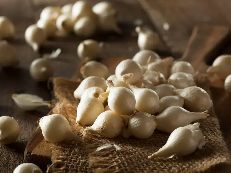 pearl-onions