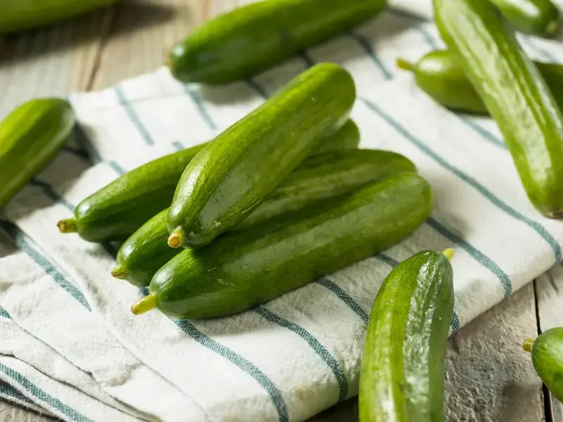 persian-cucumbers