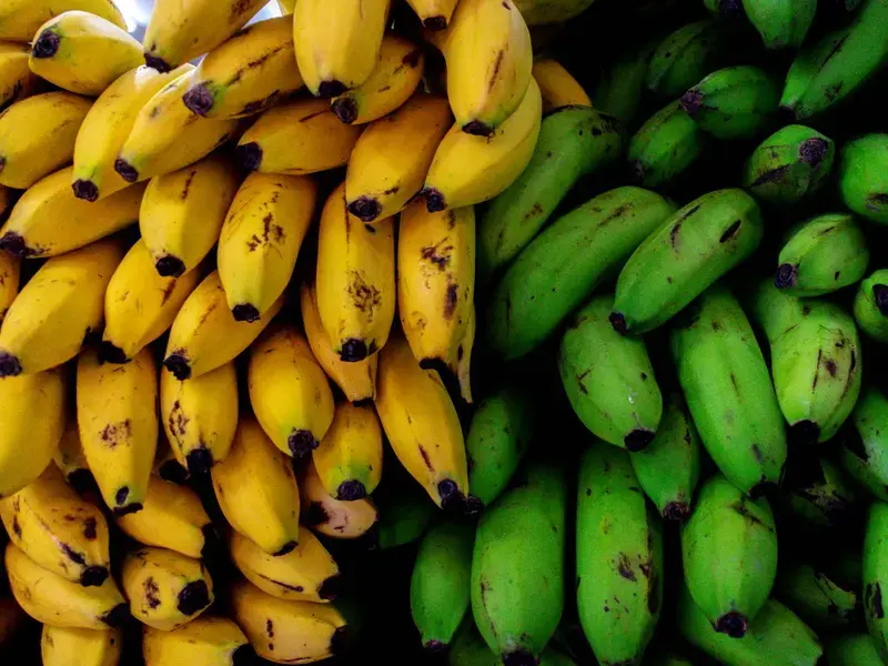 plantain-vs-banana