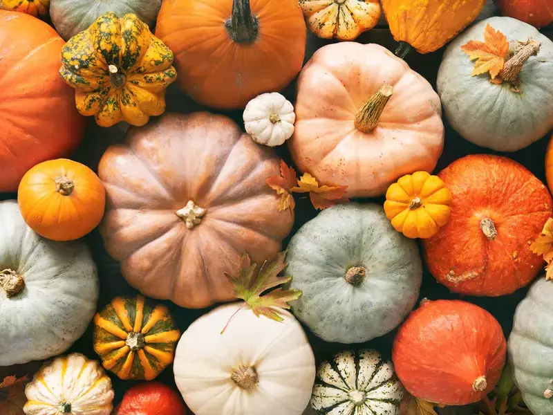 pumpkin-varieties