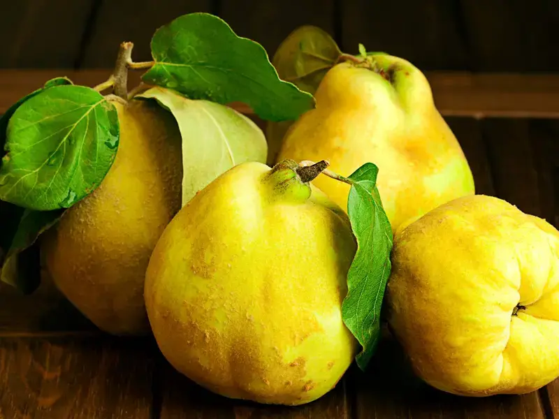 quince fruit ©iStock