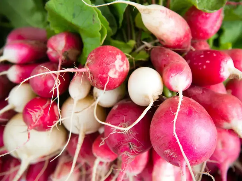 radishes ©iStock