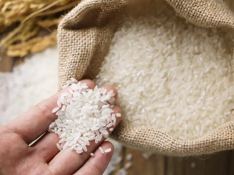 rice ©iStock