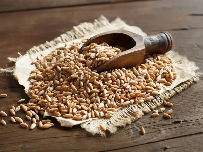 spelt