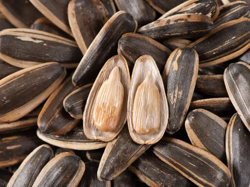 sunflower-seeds