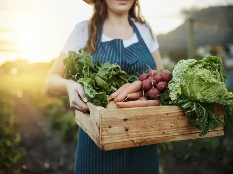 sustainable-food