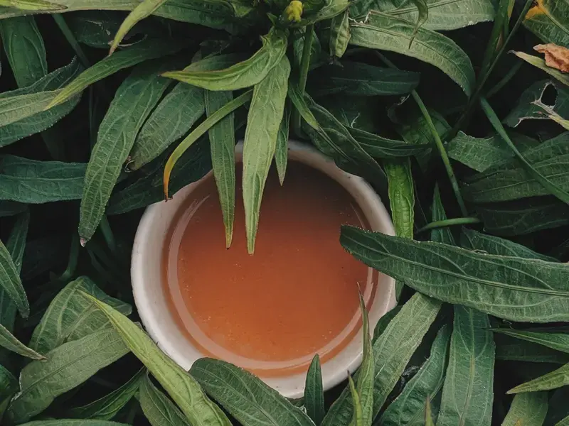 A cup of tea amongst leaves.