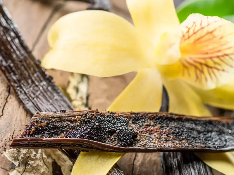 vanilla bean ©iStock